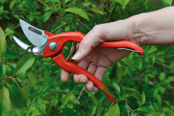 BERGER Handschere Klassik 1050 schneidet einen Ast im Garten