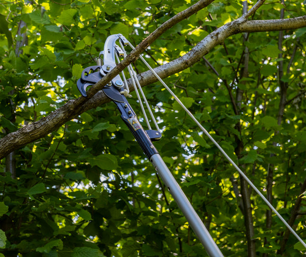 Arbo Rapid Raupenschere | Teleskopstangenaufsatz | 5430 - Julius Berger GmbH & Co. KG