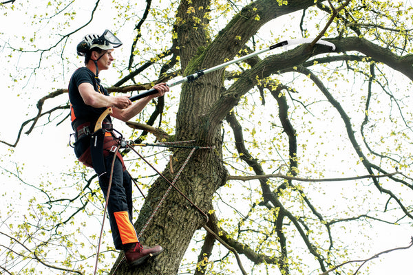 Anwenderbild der ArboRapid Teleskopstange kompakt Nummer 75850 von Julius Berger